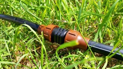 Купить BF-12 Rain Bird (photo7)