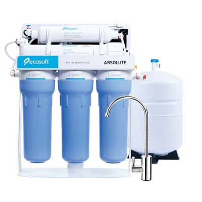 Ecosoft Absolute