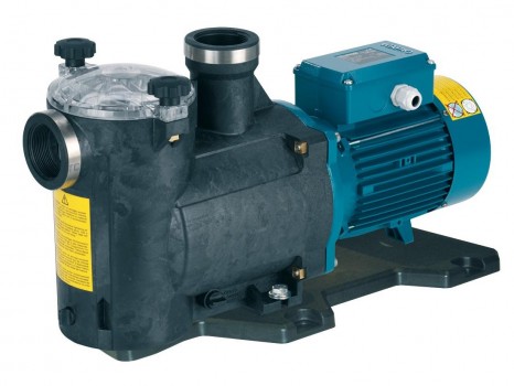 Насос для бассейна Calpeda MPCM 21/A (66E20021000) Насос для бассейна Calpeda MPCM 21/A (66E20021000)
